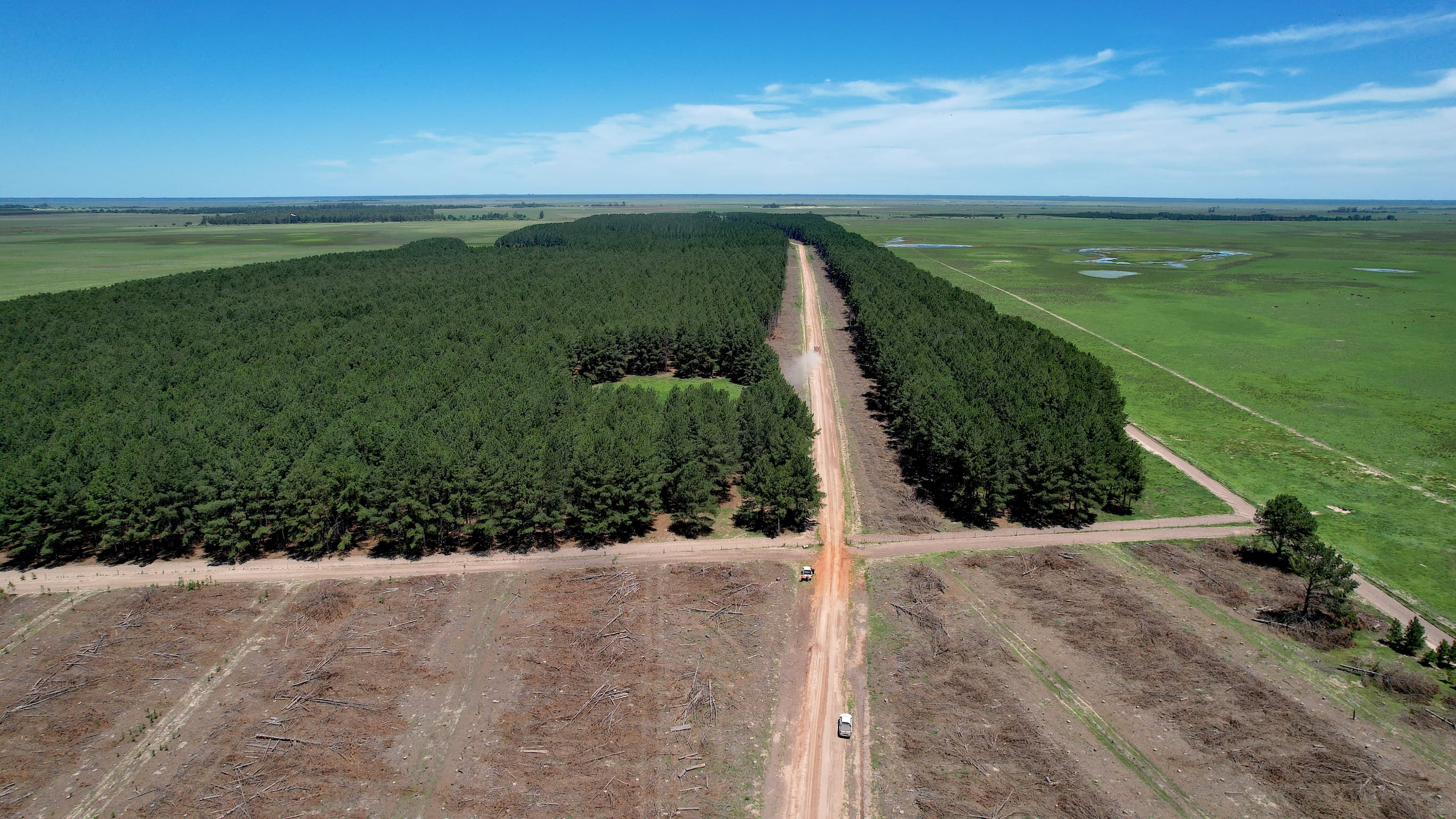 Central Puerto adquirió los activos forestales de MASISA en Argentina
