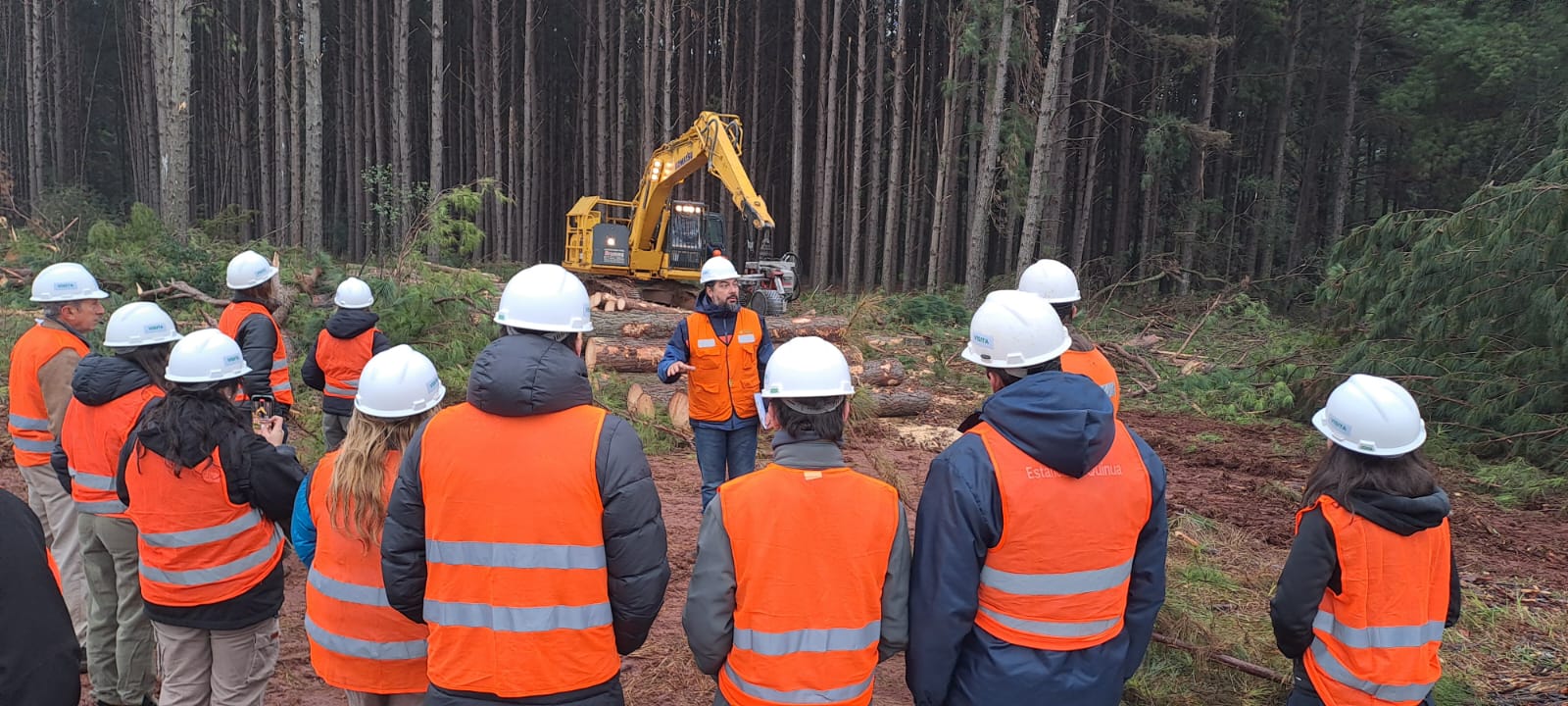 Visits to a Forest Harvesting operation🦺🌲.