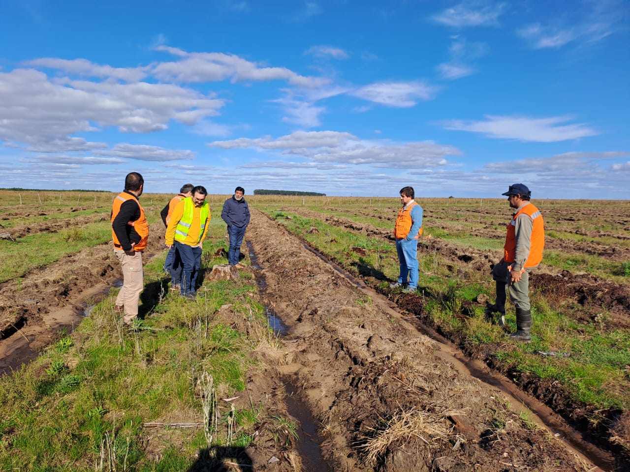 Forestal Argentina renovó su certificación FSC® y reafirma su compromiso con la gestión forestal responsable