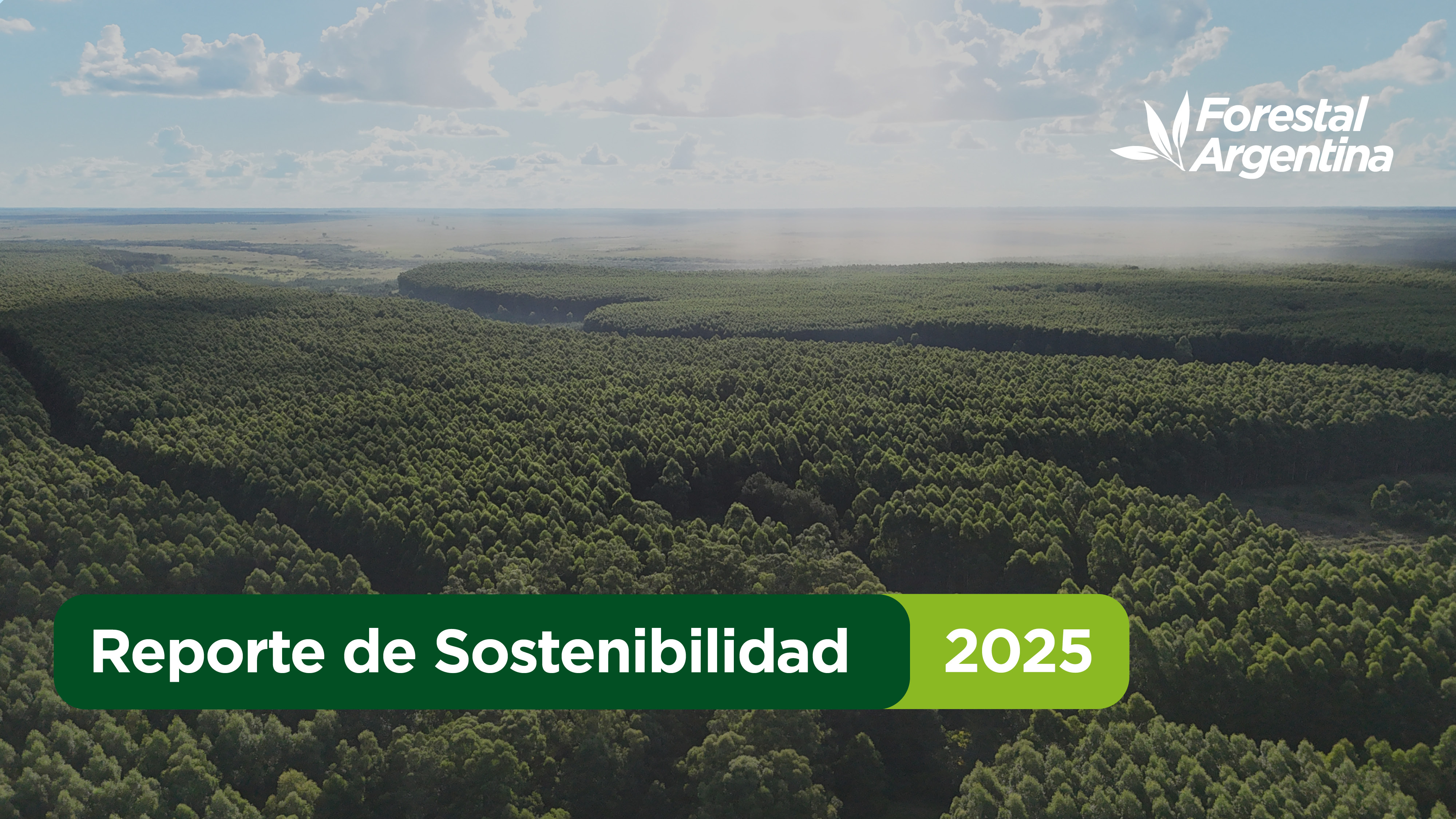 Reporte de Sustentabilidad 2025