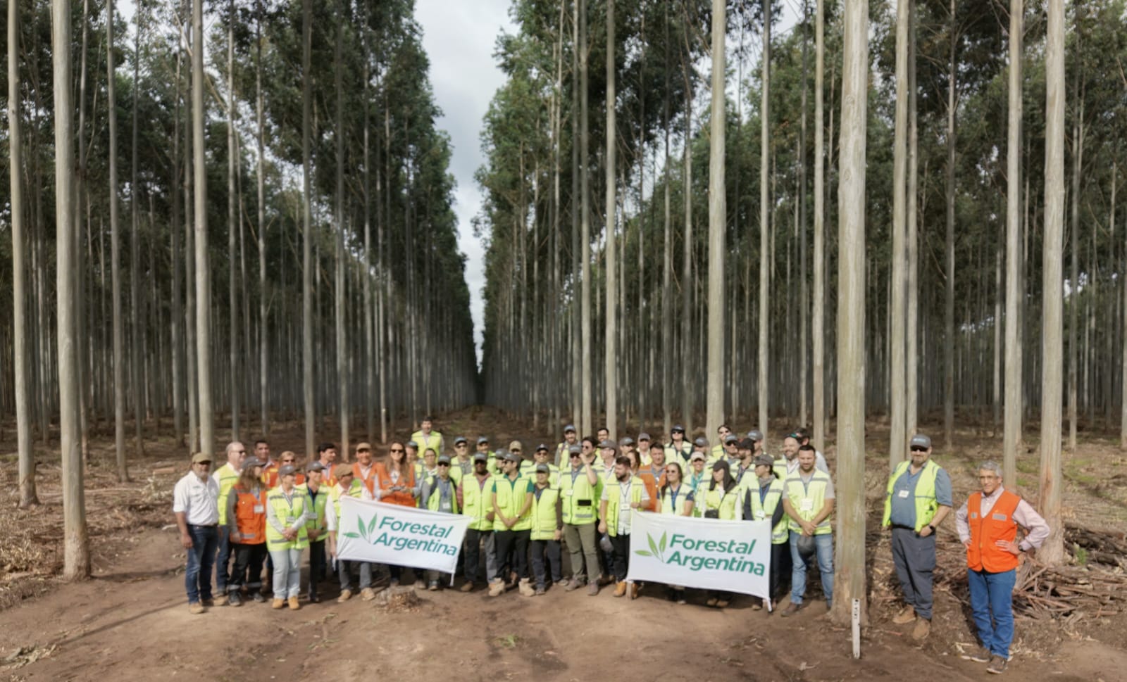 Forestal Argentina welcomed international representatives from CAMCORE